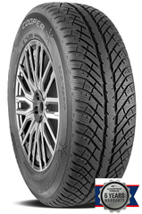 DISCOVERER WINTER | 205/55/R17 V (95)