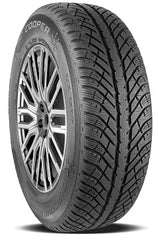DISCOVERER WINTER 4X4 | 295/35/R21 V (107)